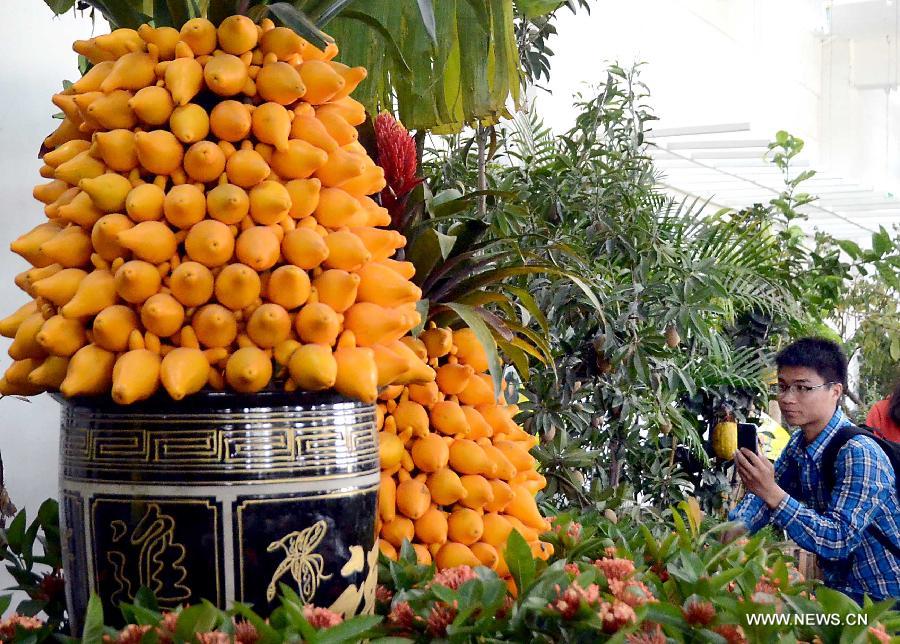 CHINA-HENAN-LUOYANG-FLOWER EXHIBITION (CN)