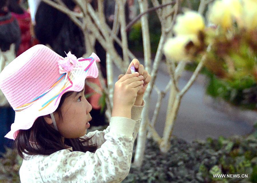 CHINA-HENAN-LUOYANG-FLOWER EXHIBITION (CN)