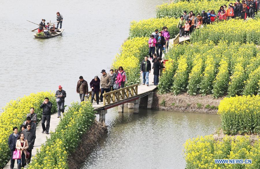 #CHINA-JIANGSU-XINGHUA-COLE FLOWERS (CN)