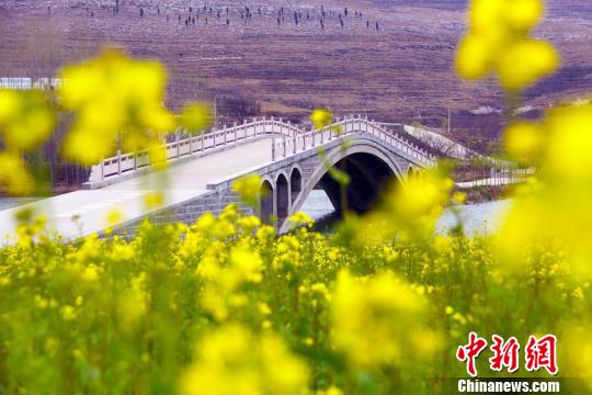 Flowers in full blossom in Zaozhuang