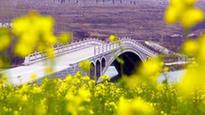 Flowers in full blossom in Zaozhuang