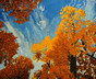 Their world, artistic or autistic?