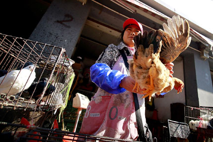 A vendor holds a chicken at a wholesale market in Shanghai yesterday. City authorities have activated an emergency response plan following two deaths from a lesser-known strain of bird flu.