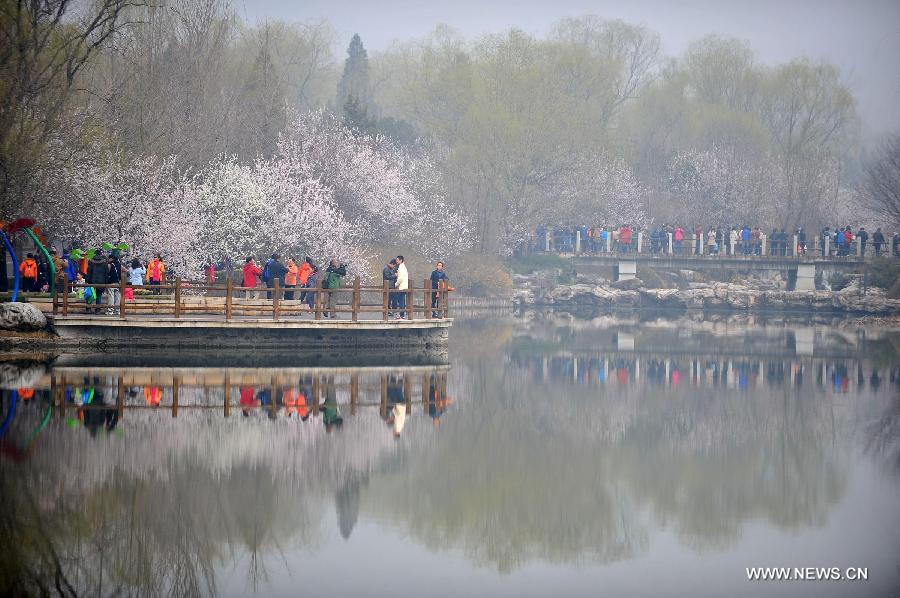 CHINA-BEIJING-QINGMING FESTIVAL-PEACH BLOSSOM (CN)