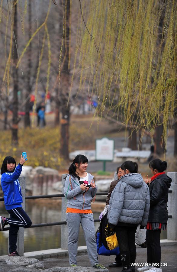 CHINA-BEIJING-QINGMING FESTIVAL-PEACH BLOSSOM (CN)