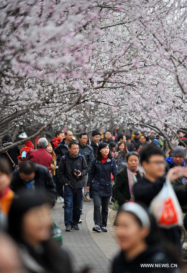 CHINA-BEIJING-QINGMING FESTIVAL-PEACH BLOSSOM (CN)