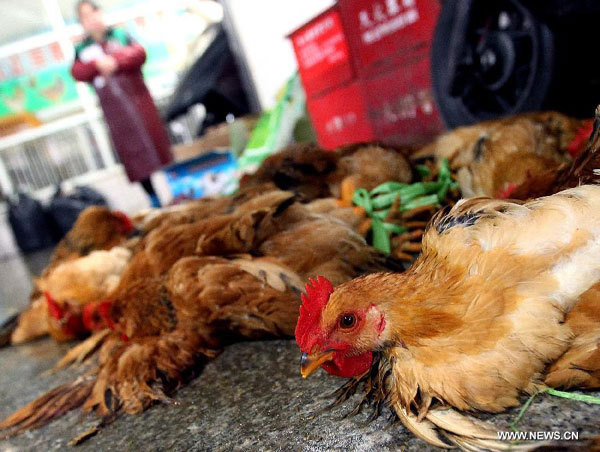 Shanghai to suspend live poultry markets after H7N9 detected