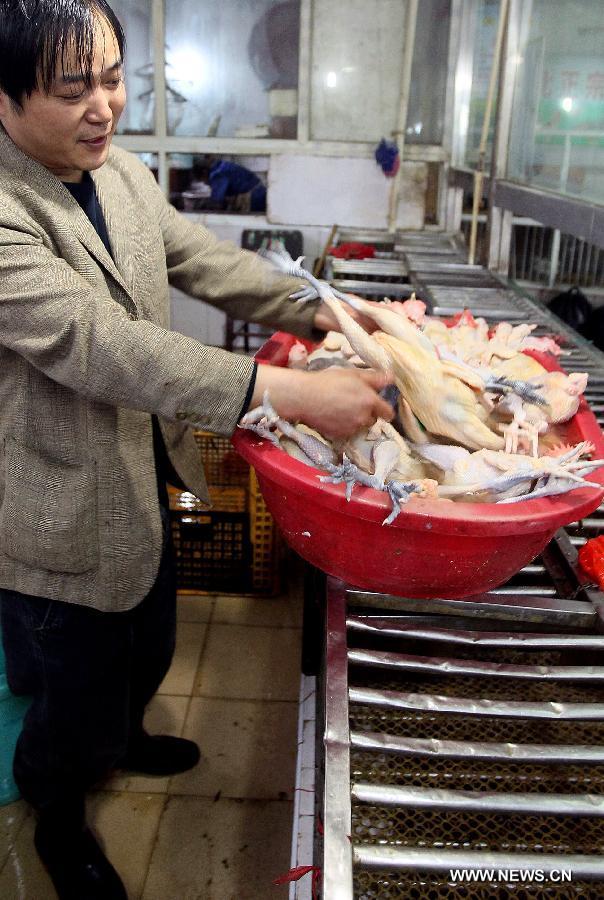 Shanghai to suspend live poultry markets after H7N9 detected