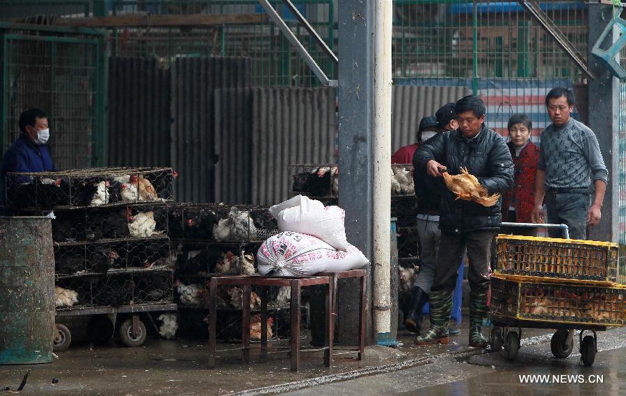 Shanghai to suspend live poultry markets after H7N9 detected