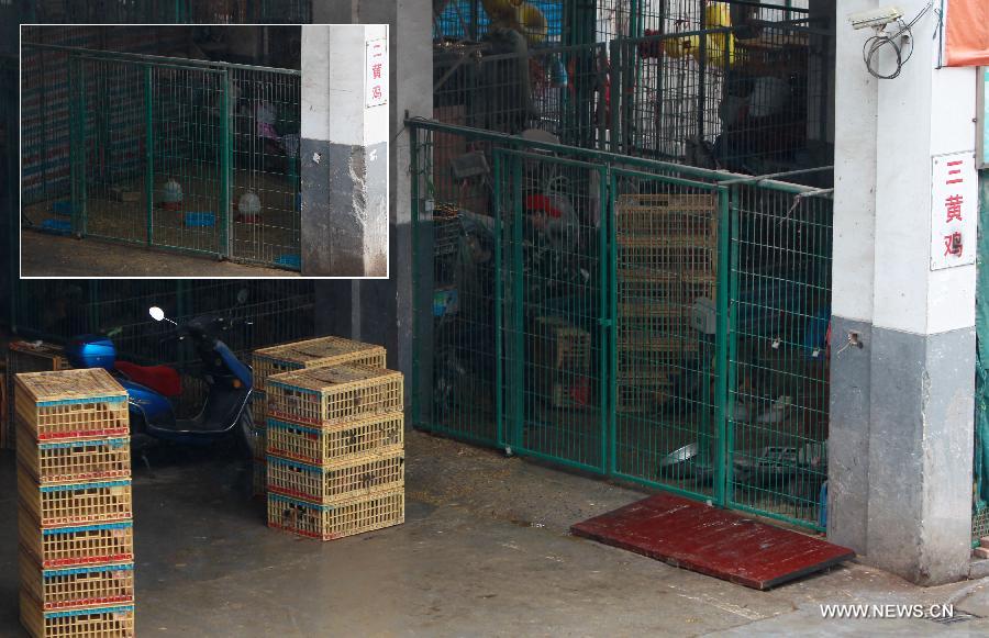 Shanghai to suspend live poultry markets after H7N9 detected