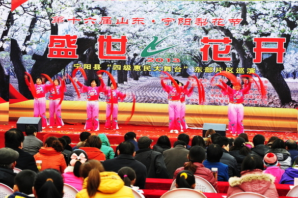 Pear Blossom Festival opens in Shandong