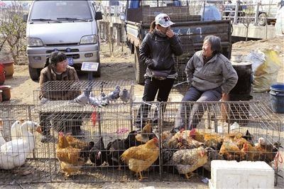 Many local governments in China have banned live poultry trade outside the market and unlicensed butchering of poultry. 