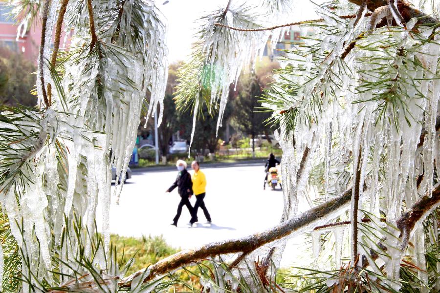 #CHINA-XINJIANG-HAMI-SPRING-ICICLE (CN) 