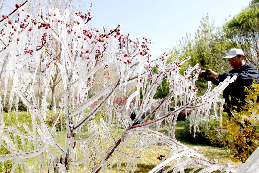 #CHINA-XINJIANG-HAMI-SPRING-ICICLE (CN) 