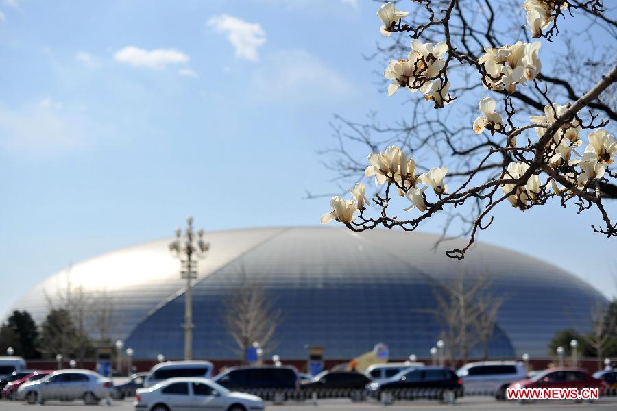 CHINA-BEIJING-SPRING (CN)