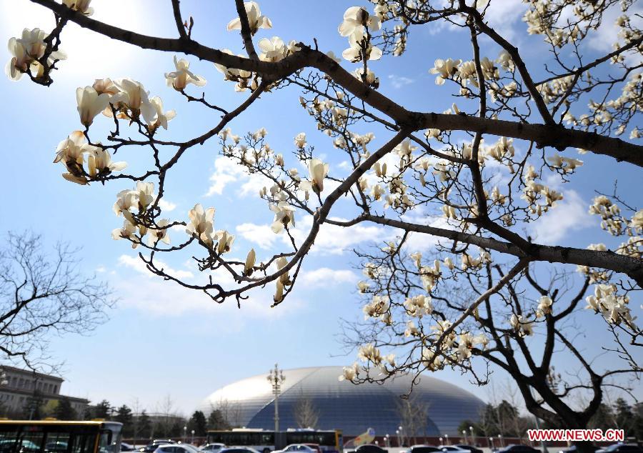 CHINA-BEIJING-SPRING (CN)