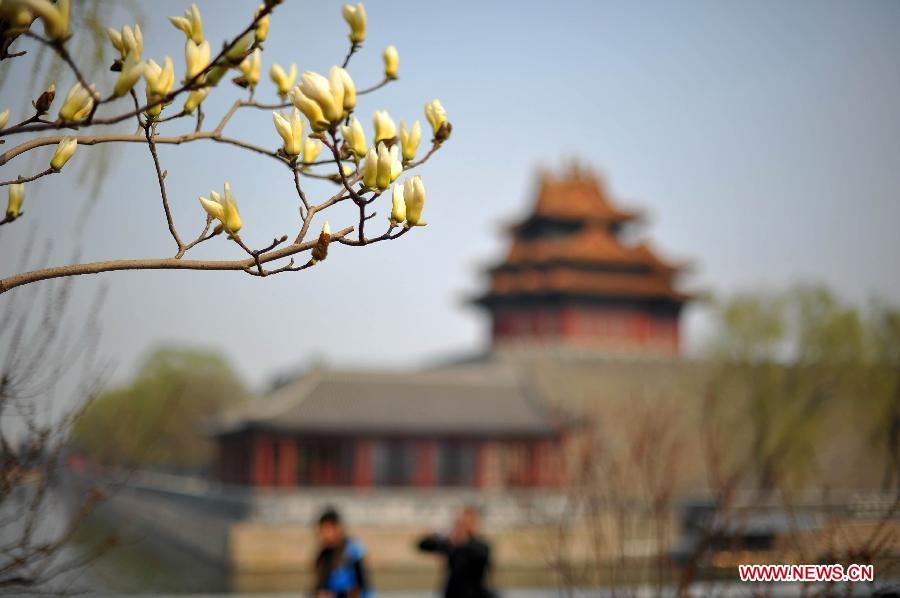 CHINA-BEIJING-SPRING (CN)