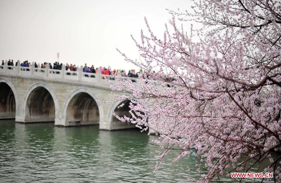 CHINA-BEIJING-SPRING (CN)