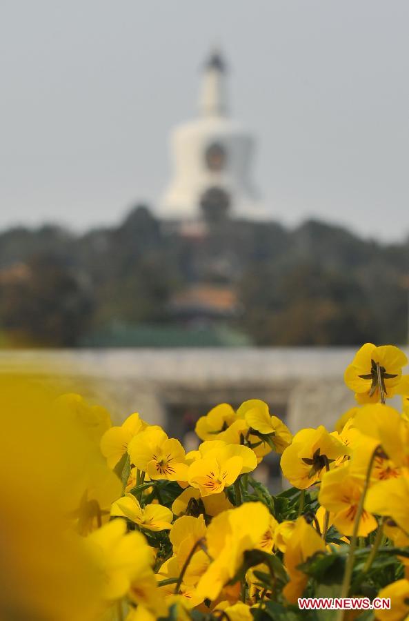 CHINA-BEIJING-SPRING (CN)