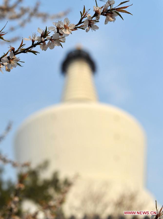 CHINA-BEIJING-SPRING (CN)