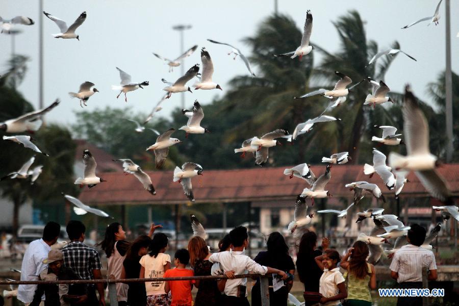 MYANMAR-YANGON-GULL