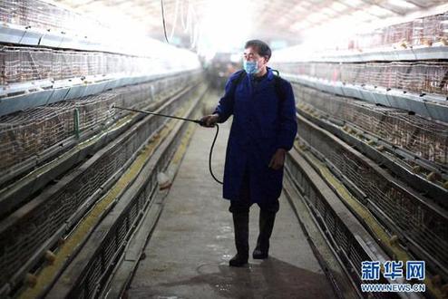 China has confirmed three more cases of the H7N9 bird flu strain, one in Shanghai and two in Jiangsu Province. 
