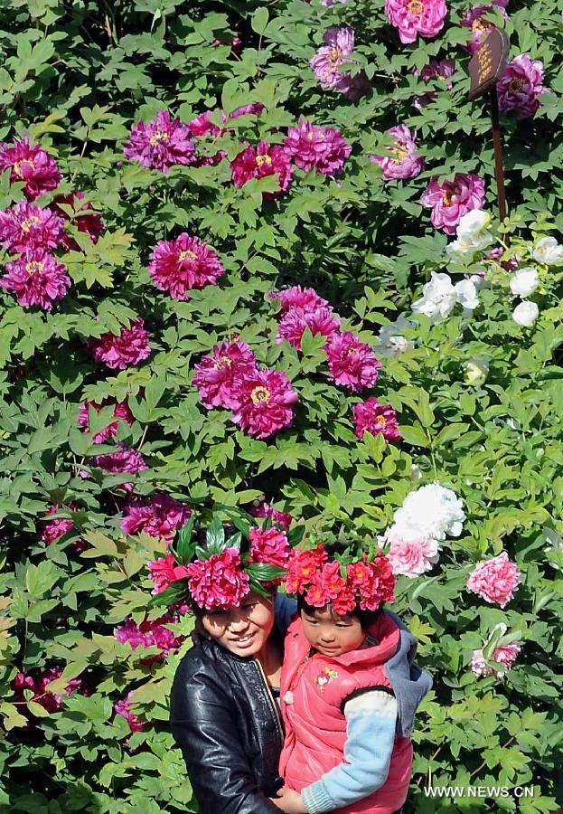 Visitors view peony flowers at a park in Luoyang City, central China's Henan Province, April 9, 2013.