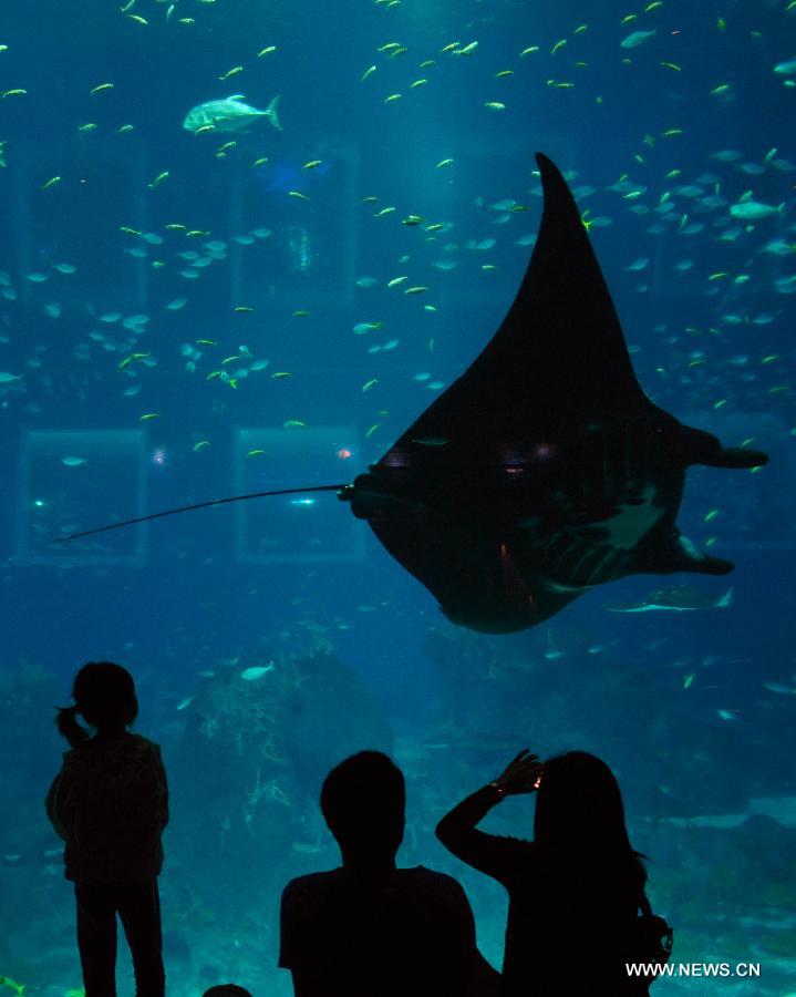 SINGAPORE-SENTOSA-AQUARIUM-BIGGEST-GUINNESS