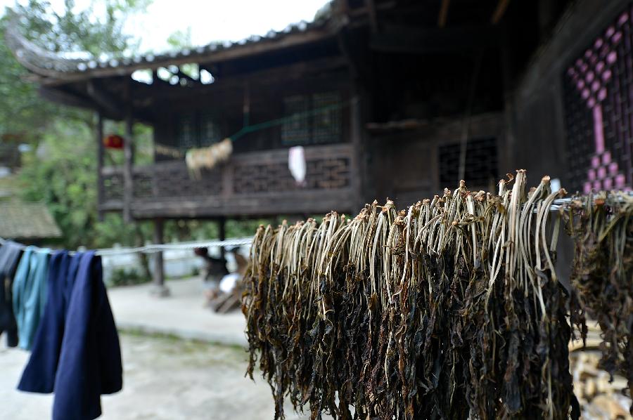 #CHINA-HUBEI-ENSHI-STILTED BUILDINGS (CN) 