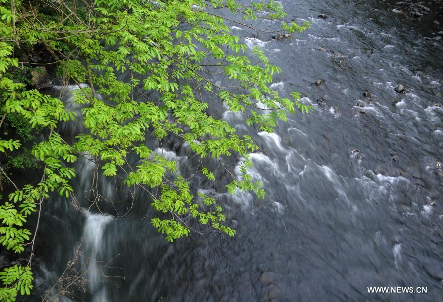 CHINA-ANHUI-SCENERY (CN)