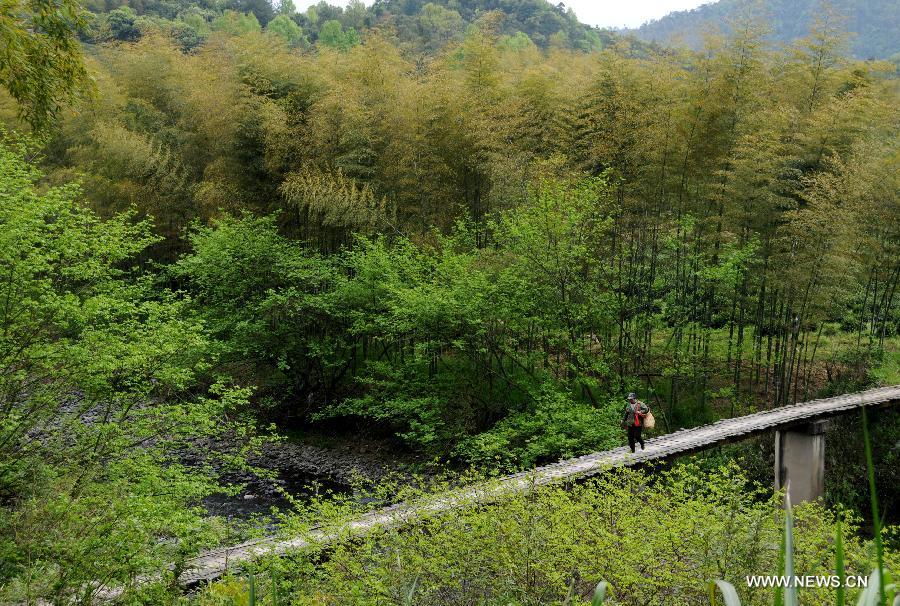 CHINA-ANHUI-SCENERY (CN)