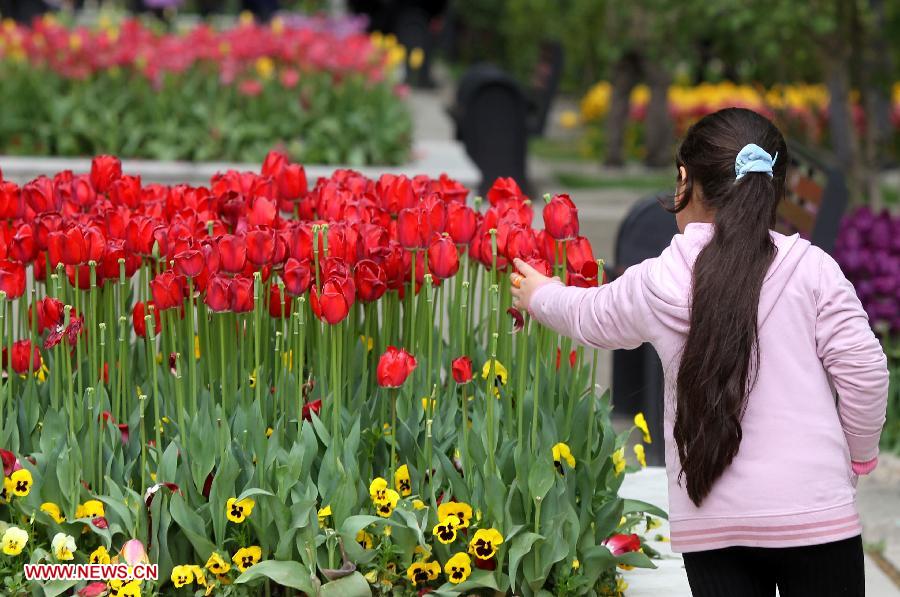 IRAN-TEHRAN-FLOWER-BLOSSOM