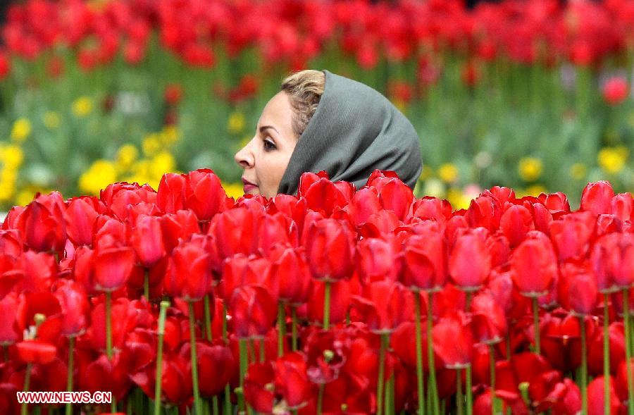 IRAN-TEHRAN-FLOWER-BLOSSOM