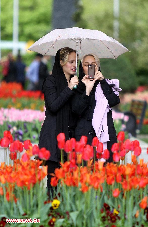 IRAN-TEHRAN-FLOWER-BLOSSOM