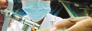 H7N9 expert warns human transmission possible