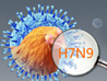 Fighting against H7N9 bird flu