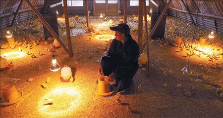 Ye Guowang, 63, sits in his chicken farm in Tengqiao village, Wenzhou, Zhejiang province. He said he is wasting money by the minute on feeding 10,000 chickens that cannot be sold because of the H7N9 bird flu outbreak. [China Daily]