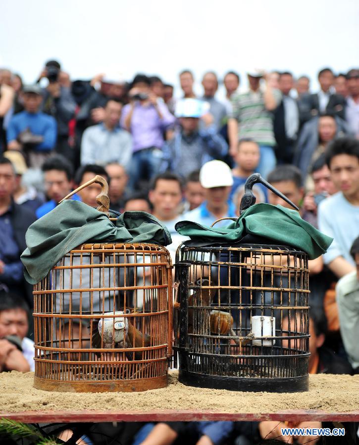 #CHINA-HUNAN-DAWULIANG SINGING FESTIVAL (CN)