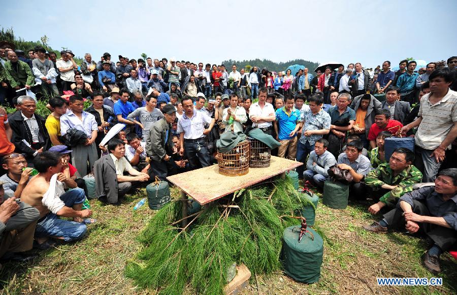 #CHINA-HUNAN-DAWULIANG SINGING FESTIVAL (CN)