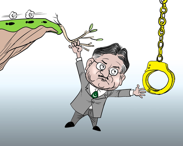 标题图片