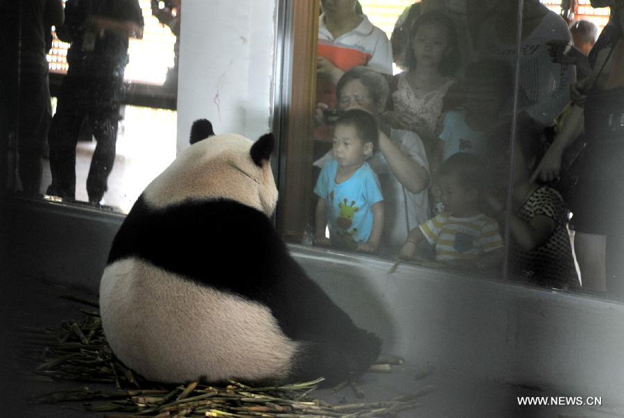 #CHINA-LIUZHOU-GIANT PANDA (CN)