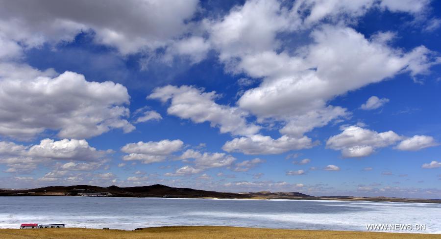 CHINA-INNER MONGOLIA-ULGAI-SCENERY (CN)