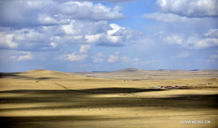 CHINA-INNER MONGOLIA-ULGAI-SCENERY (CN)