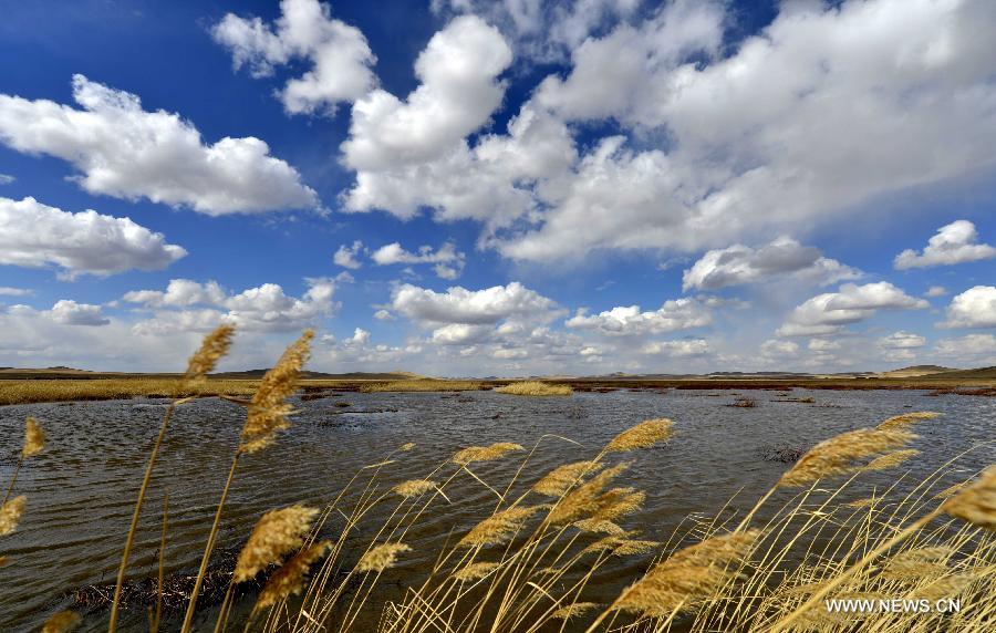 CHINA-INNER MONGOLIA-ULGAI-SCENERY (CN)