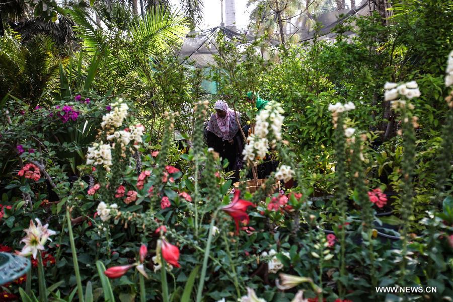 Egyptian women watch flowers during celebrations of the 80th annual Spring Festival, also known as 'Spring Flowers Exhibition', in the historical garden of Al-Orman, a famous botanical gardens in Giza, Egypt, on April 23, 2013. 