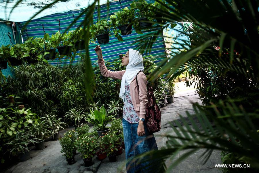 An Egyptian woman watches ornamental plants during celebrations of the 80th annual Spring Festival, also known as 'Spring Flowers Exhibition', in the historical garden of Al-Orman, a famous botanical gardens in Giza, Egypt, on April 23, 2013. 