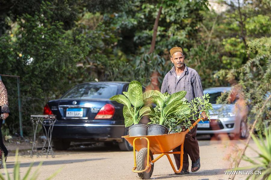 An Egyptian farmer carries ornamental plants for his clients during celebrations of the 80th annual Spring Festival, also known as 'Spring Flowers Exhibition', in the historical garden of Al-Orman, which was established by the Egyptian Khedive Isma'il Pasha in 1875 and is one the most famous botanical gardens in the Middle East, in Giza, Egypt, on April 23, 2013. 