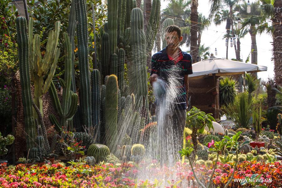 An Egyptian farmer waters his flowers during celebrations of the 80th annual Spring Festival, also known as 'Spring Flowers Exhibition', in the historical garden of Al-Orman, a famous botanical gardens in Giza, Egypt, on April 23, 2013. 