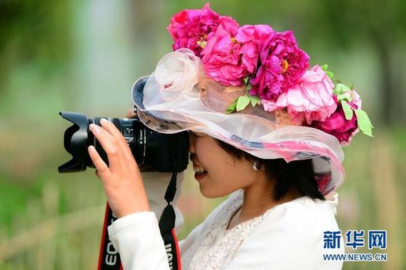 Bloomy flowers in Heze welcome visitors