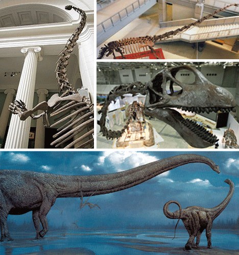 extinct ancient animals